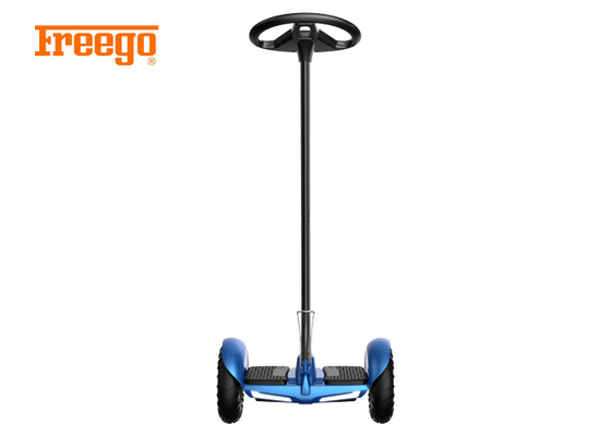 Sử dụng giá rẻ thân thiện đáng chú ý tự cân bằng xe tay ga với bảng điều khiển